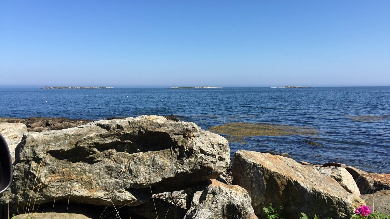 Photo of Others in Martinsville