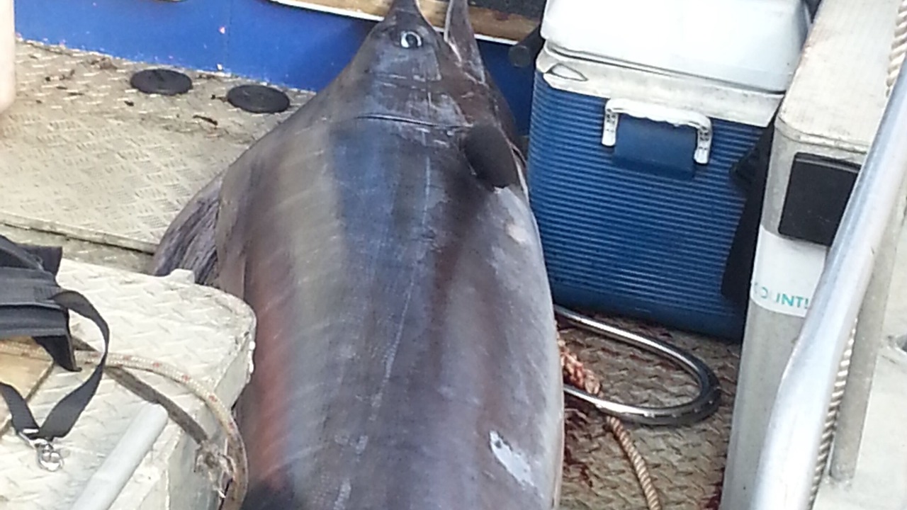 Photo of Outdoor in Kerikeri