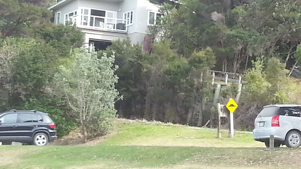 Photo of Outdoor in Kerikeri