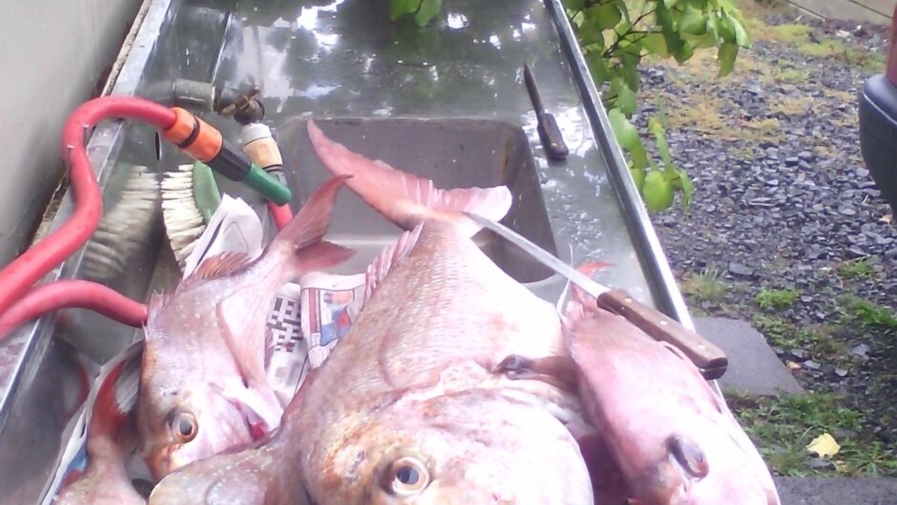 Photo of Others in Kerikeri