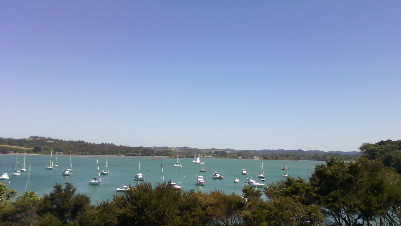 Photo of Others in Kerikeri