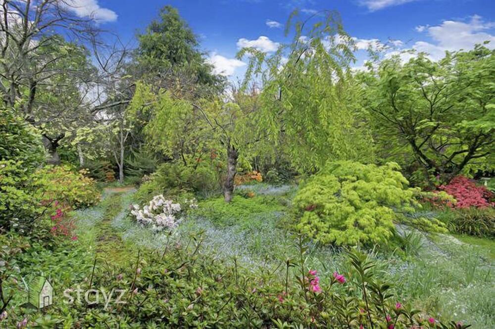 Photo of Outdoor in Buckland