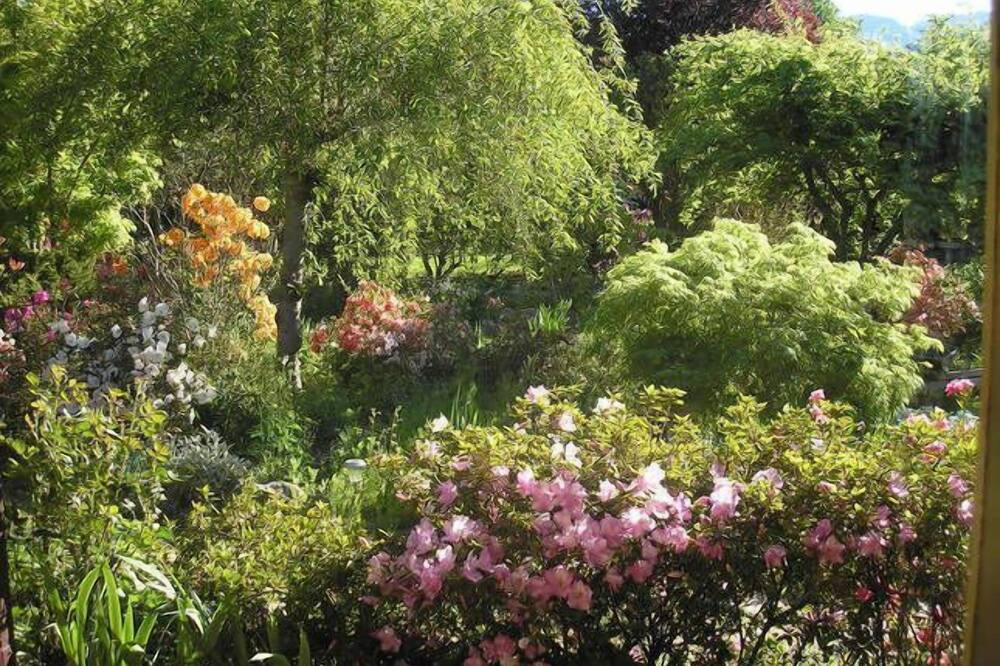 Photo of Outdoor in Buckland