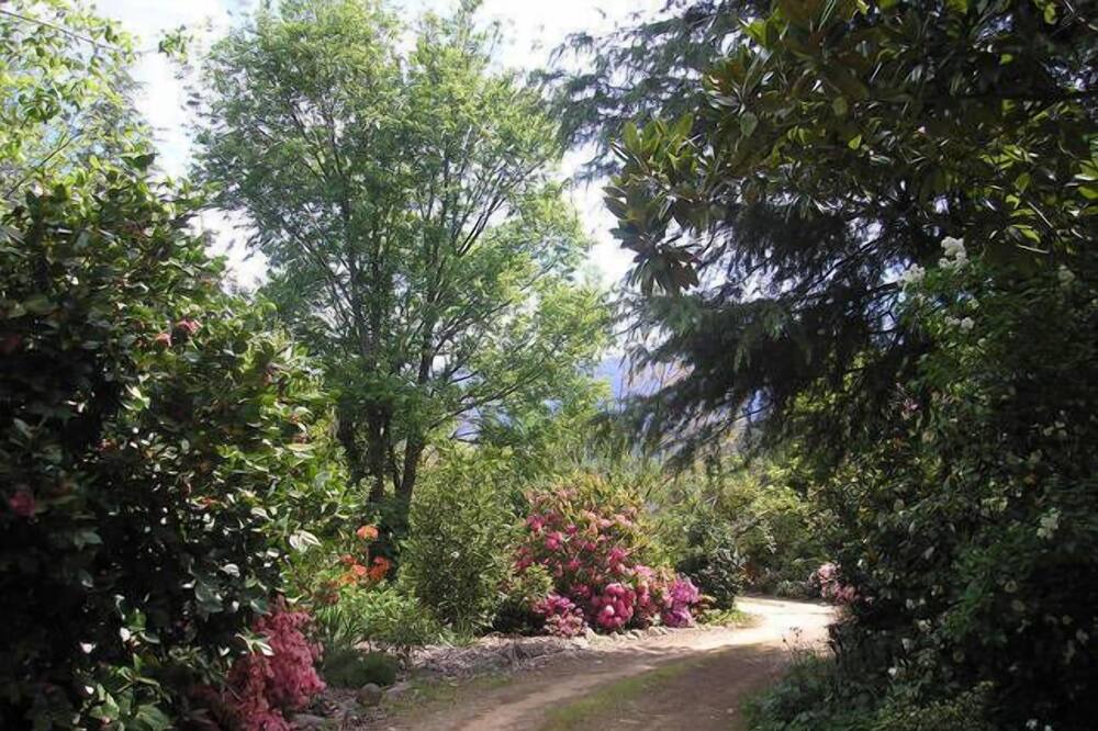 Photo of Outdoor in Buckland