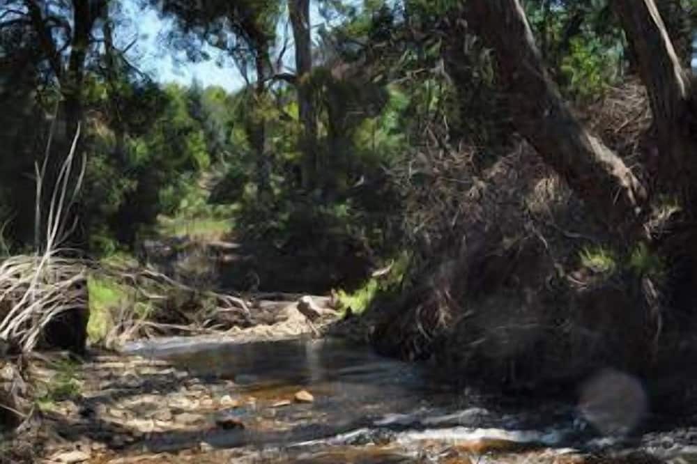 Photo of Others in Buckland