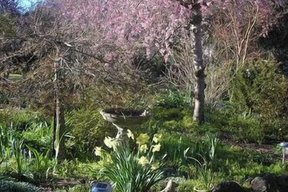 Photo of Outdoor in Buckland