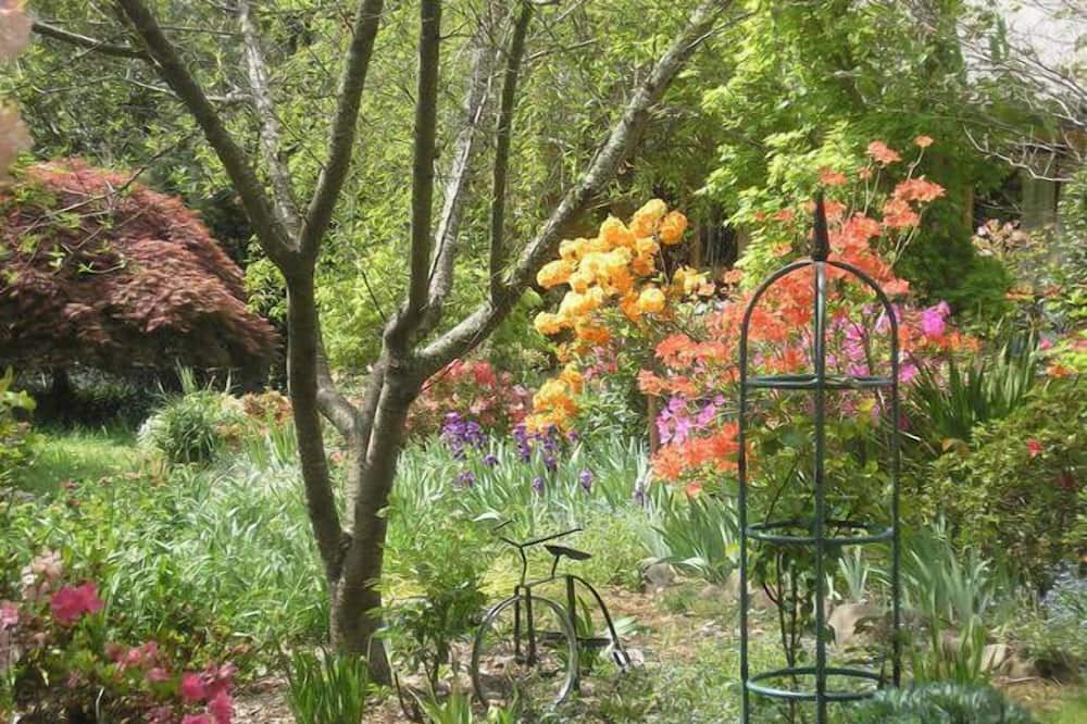 Photo of Outdoor in Buckland