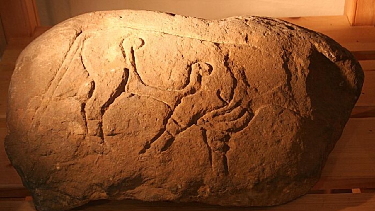 Photo of Others in Elgin