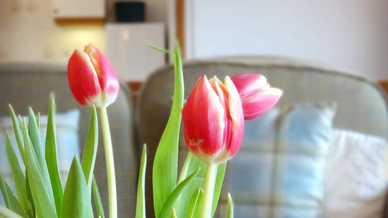 Photo of Others in Elgin