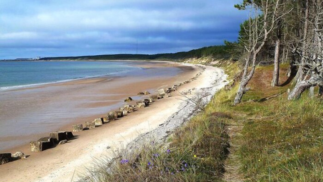 Photo of Others in Elgin