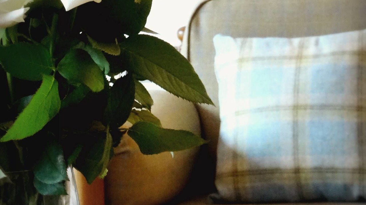 Photo of Others in Elgin