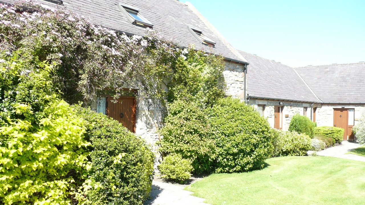 Photo of Buildings in Elgin