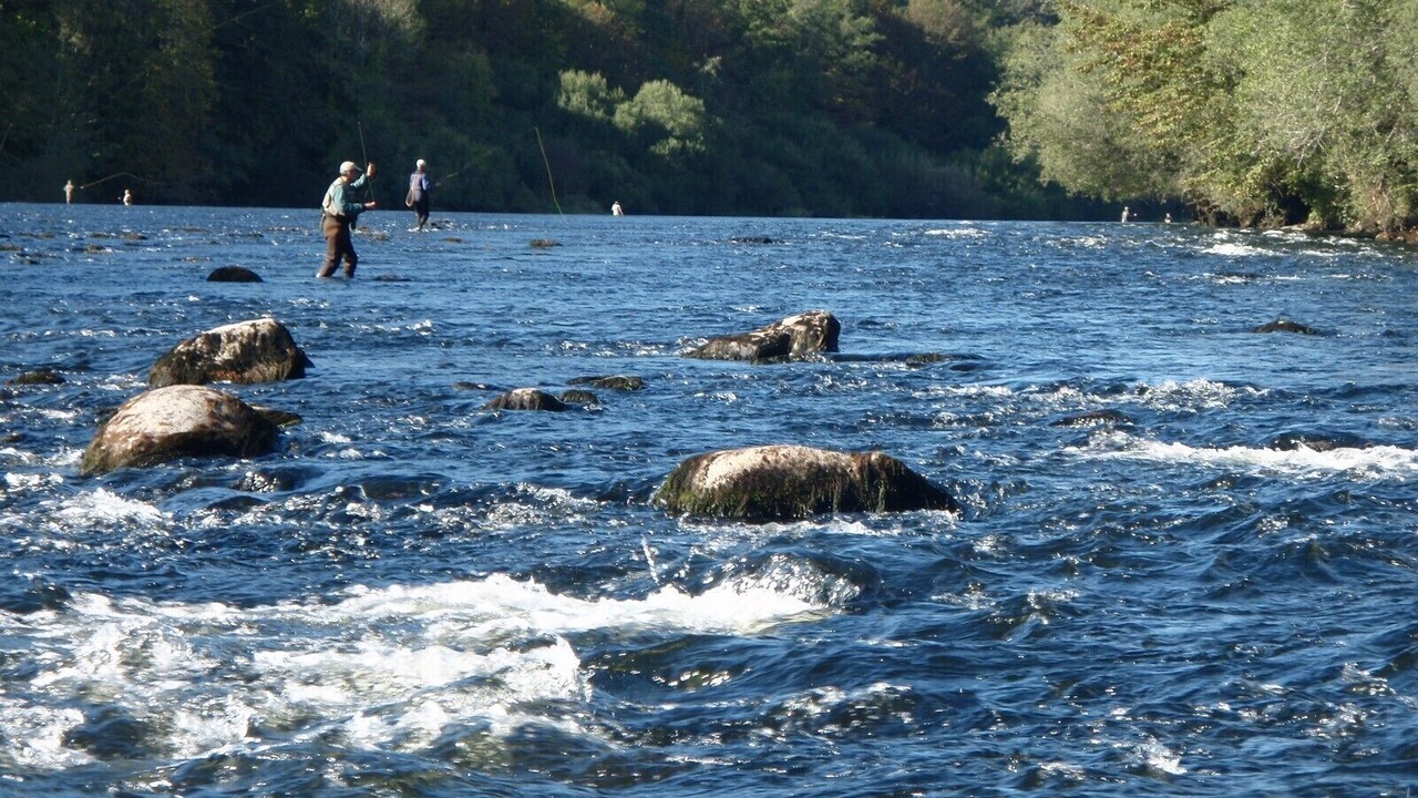 Photo of Others in Monceaux-sur-Dordogne