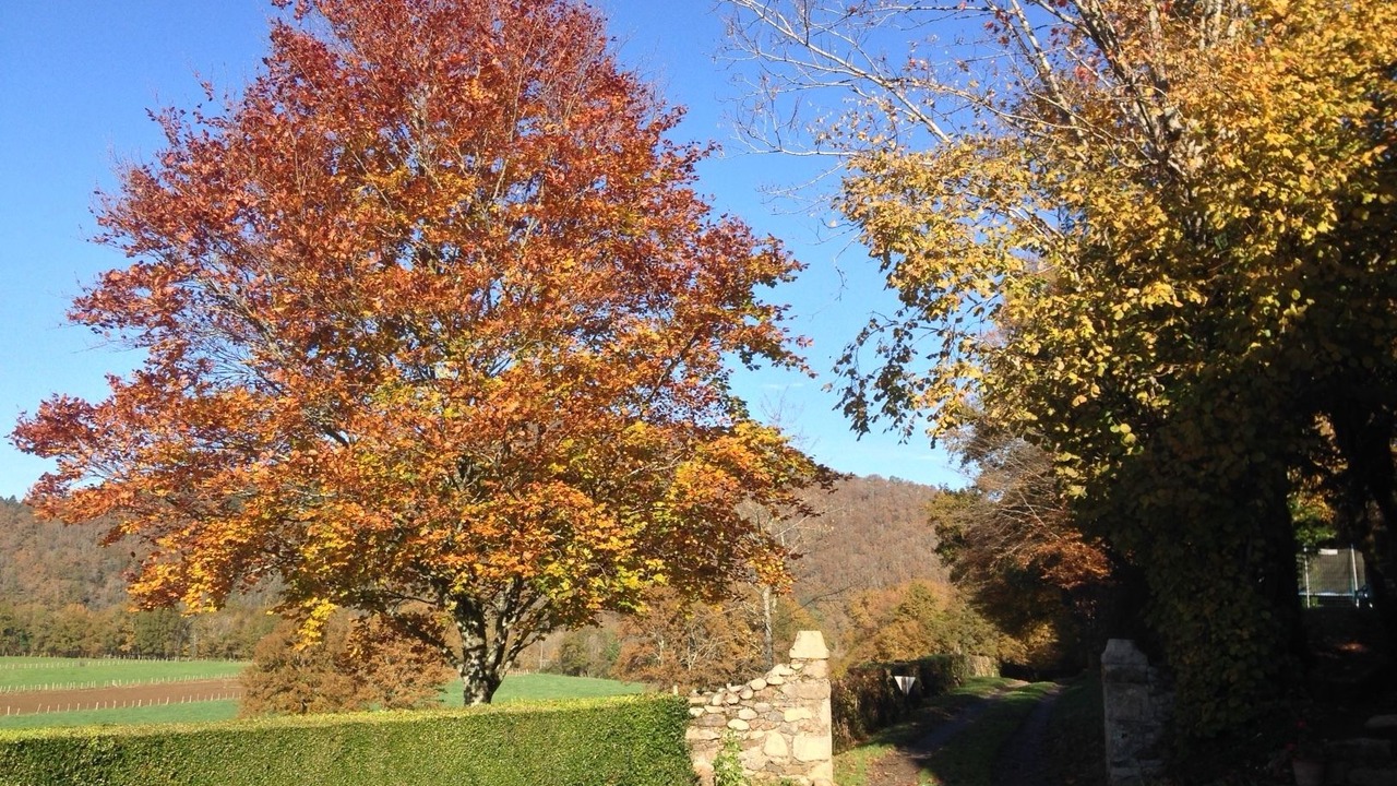 Photo of Outdoor in Monceaux-sur-Dordogne