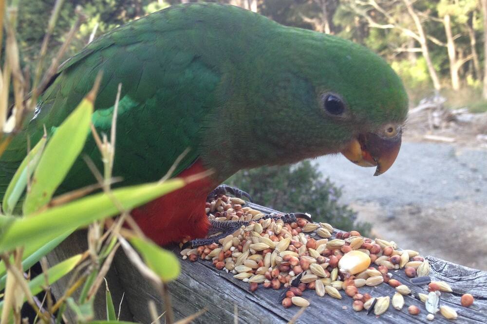 Photo of Outdoor in Marengo