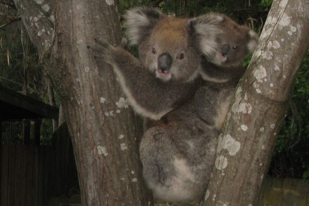 Photo of Outdoor in Marengo