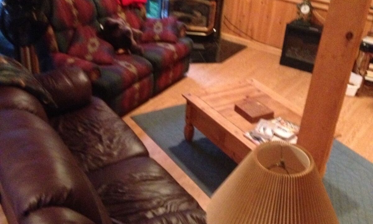 Photo of Livingroom in Mayfield