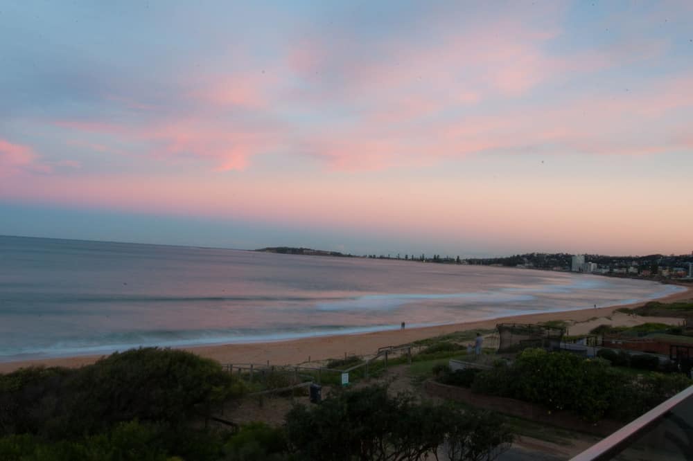 Photo of Others in Narrabeen