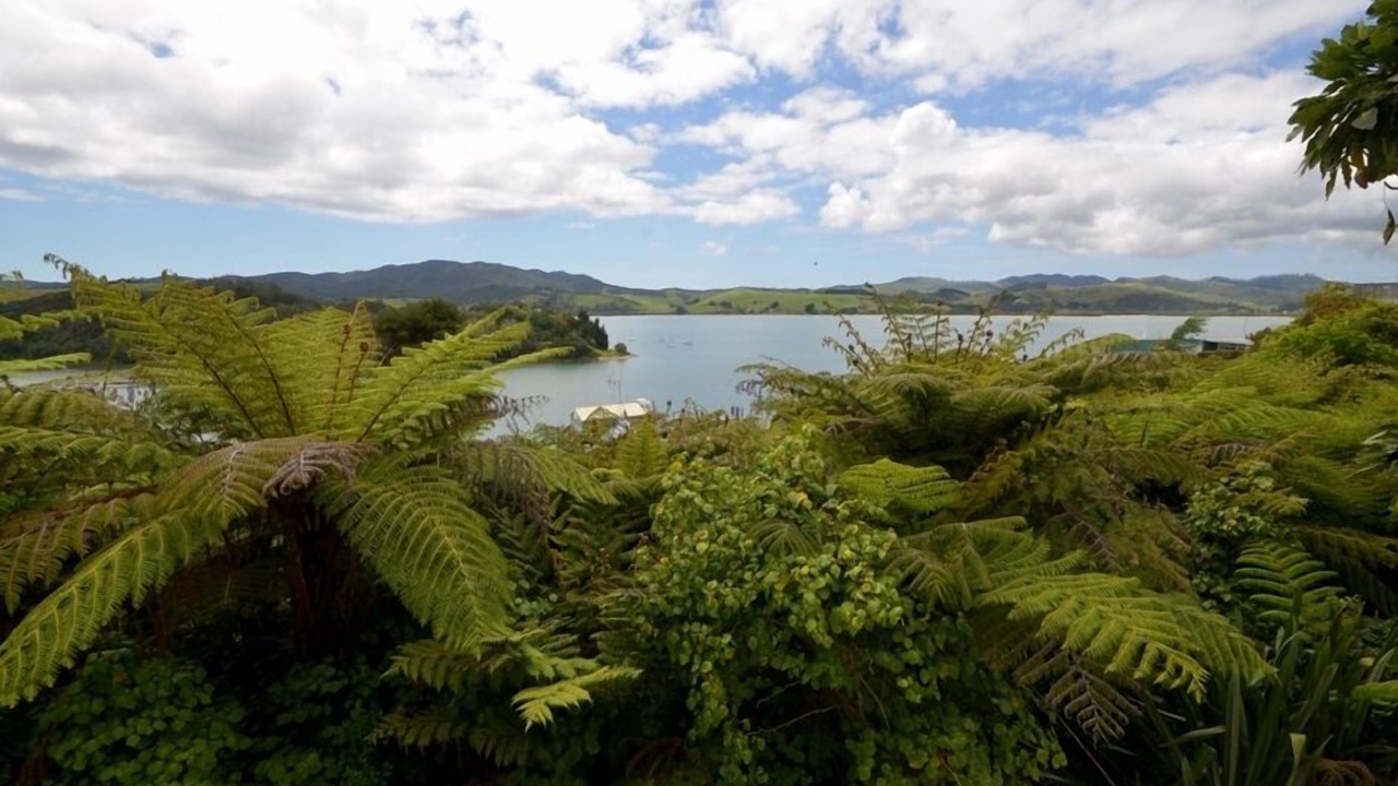 Photo of Outdoor in Mangonui