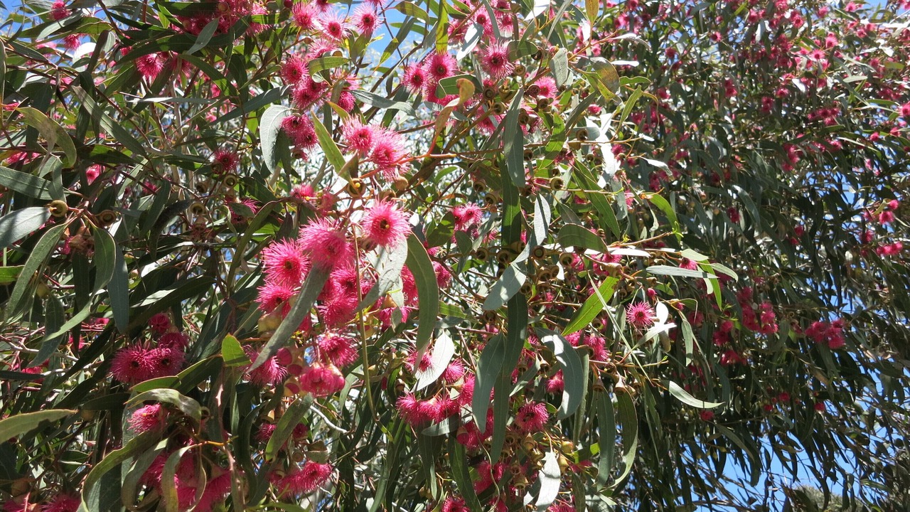 Photo of Others in Daylesford