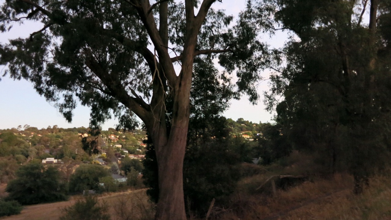 Photo of Outdoor in Daylesford