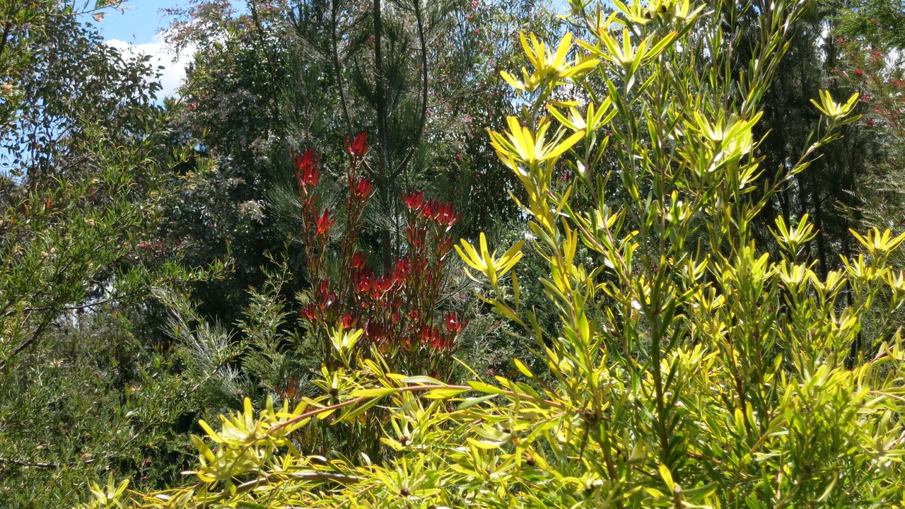 Photo of Outdoor in Daylesford