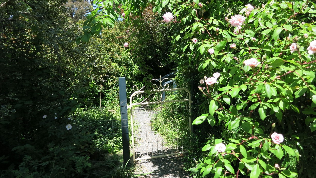 Photo of Outdoor in Daylesford