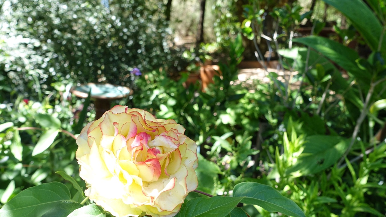 Photo of Others in Daylesford