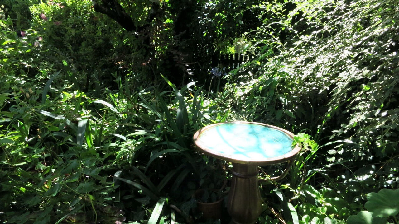 Photo of Outdoor in Daylesford