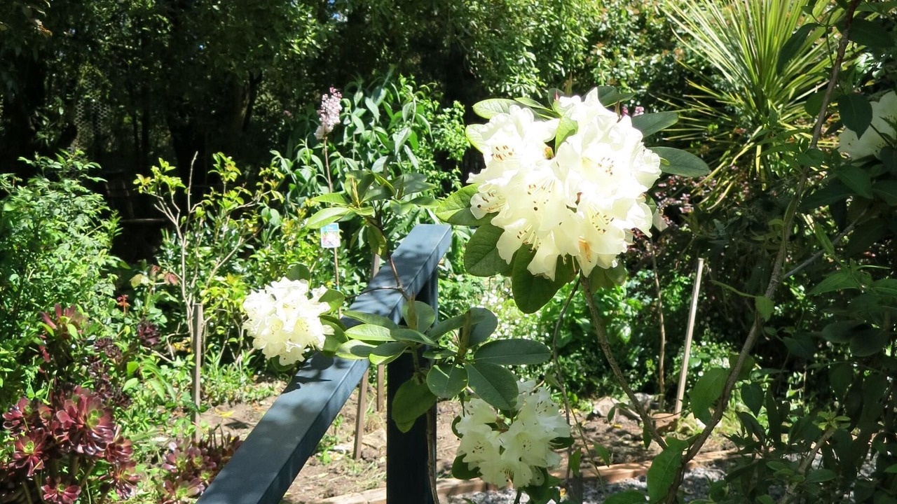 Photo of Outdoor in Daylesford