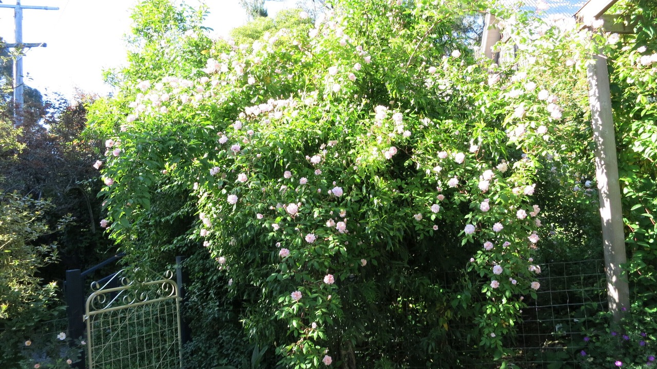 Photo of Outdoor in Daylesford