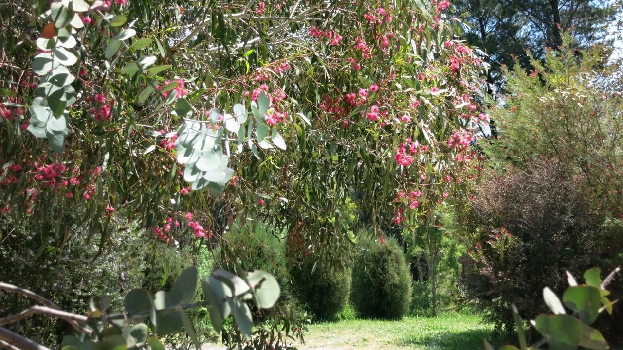 Photo of Outdoor in Daylesford