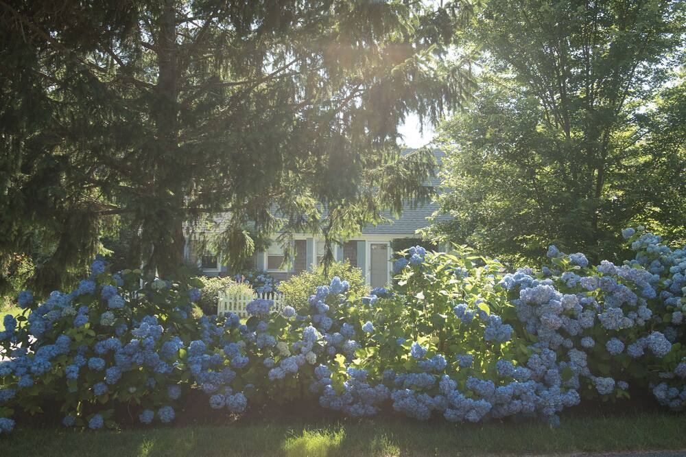 Photo of Outdoor in West Brewster