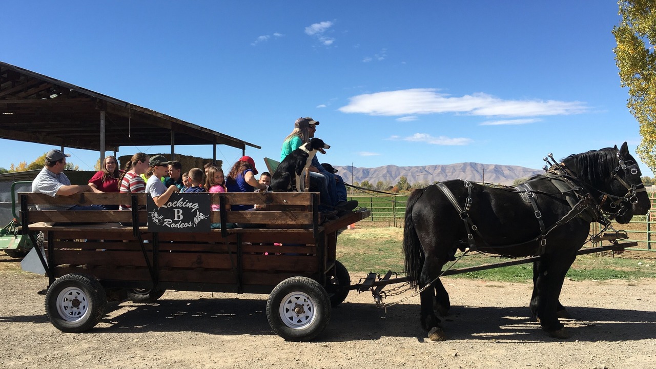 Photo of Others in Spanish Fork