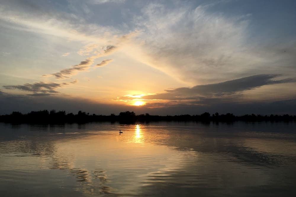 Photo of Others in Seymour