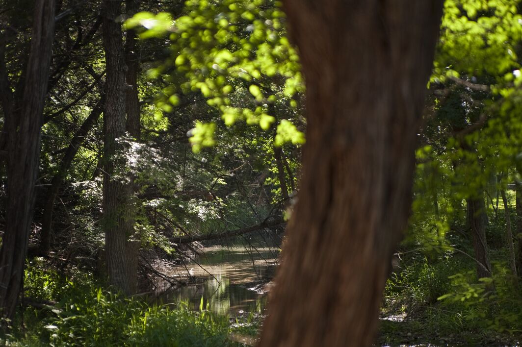 Photo of Outdoor in Wood Island