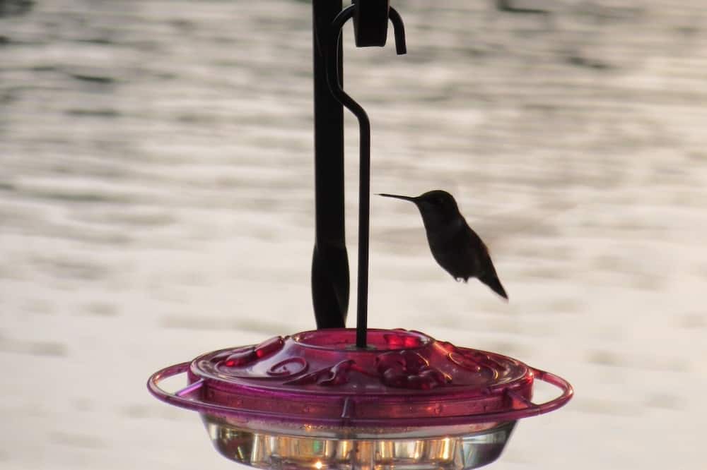 Photo of Others in Lake Luzerne-Hadley