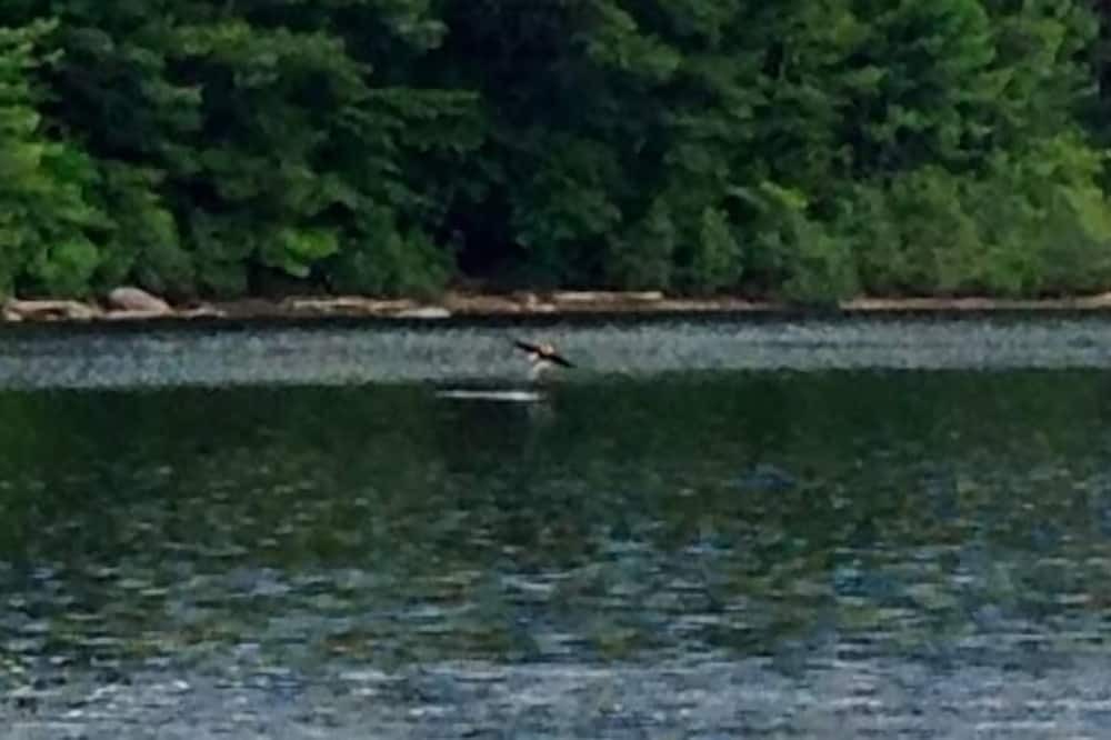 Photo of Others in Lake Luzerne-Hadley