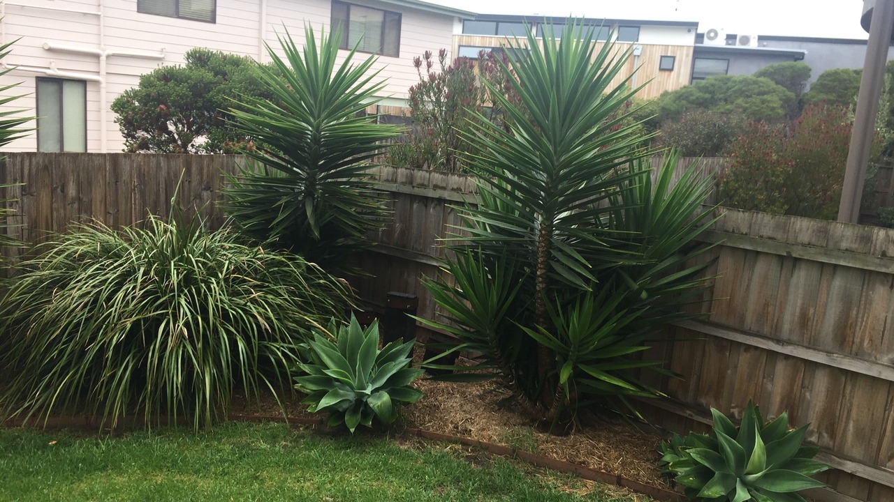 Photo of Outdoor in Smiths Beach