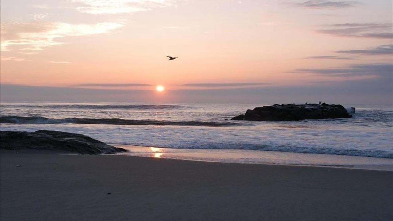 Photo of Others in Wall