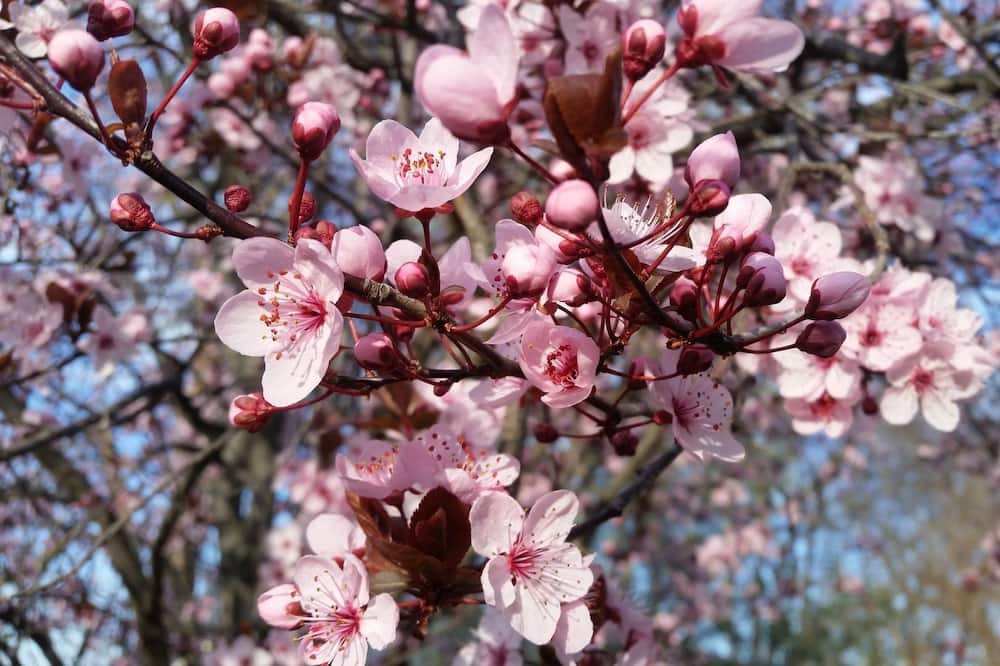 Photo of Outdoor in Millthorpe