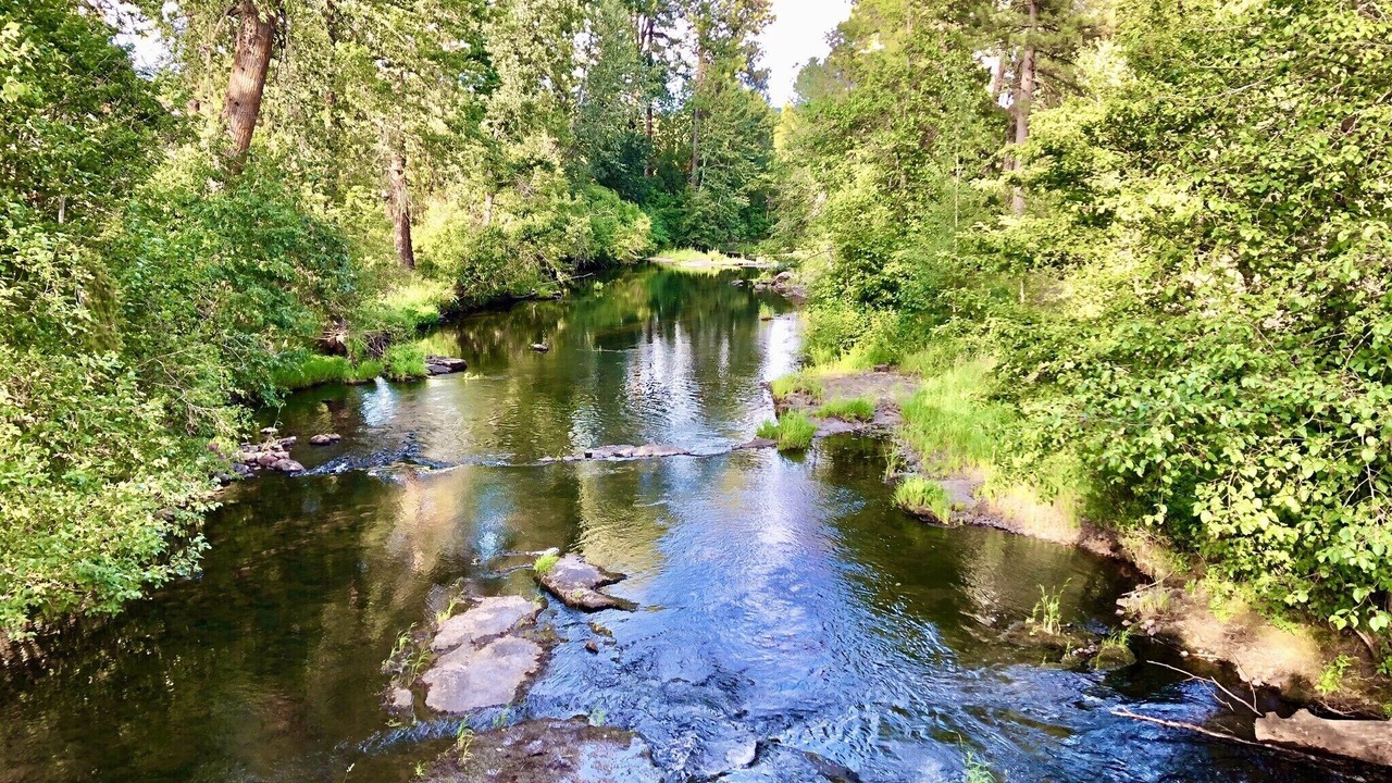 Photo of Outdoor in Trout Lake