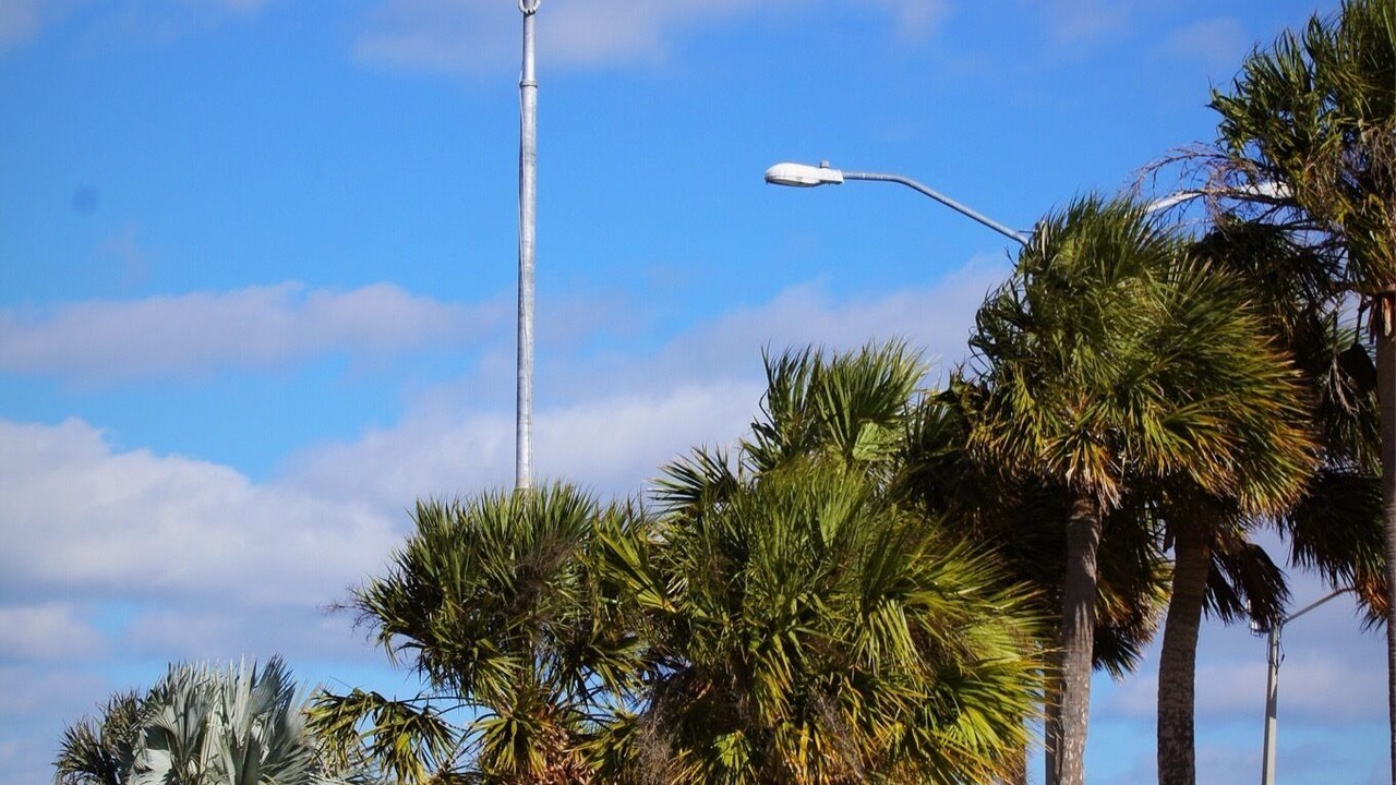 Photo of Outdoor in Tarpon Springs