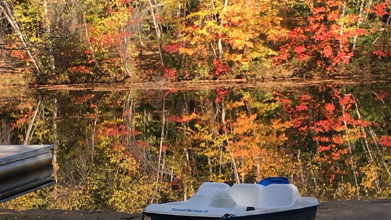Photo of Outdoor in Conway