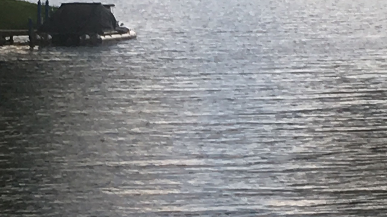 Photo of Others in Conway