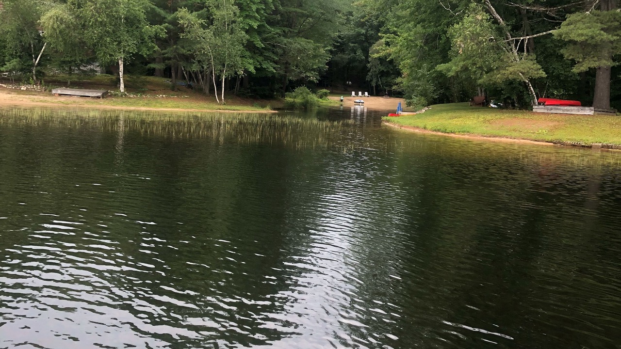 Photo of Outdoor in Conway