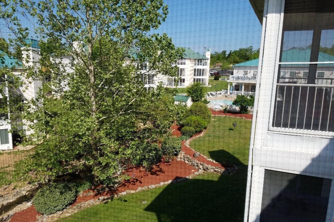 Photo of Outdoor in Table Rock