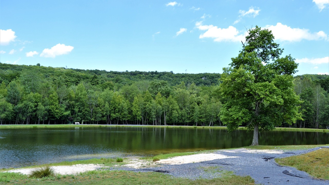 Photo of Outdoor in Bushkill