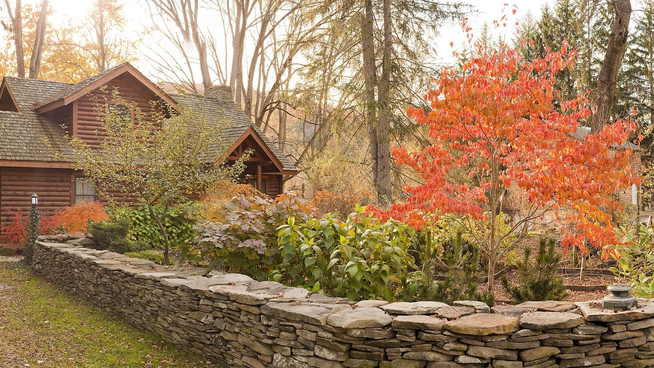 Photo of Outdoor in Narrowsburg