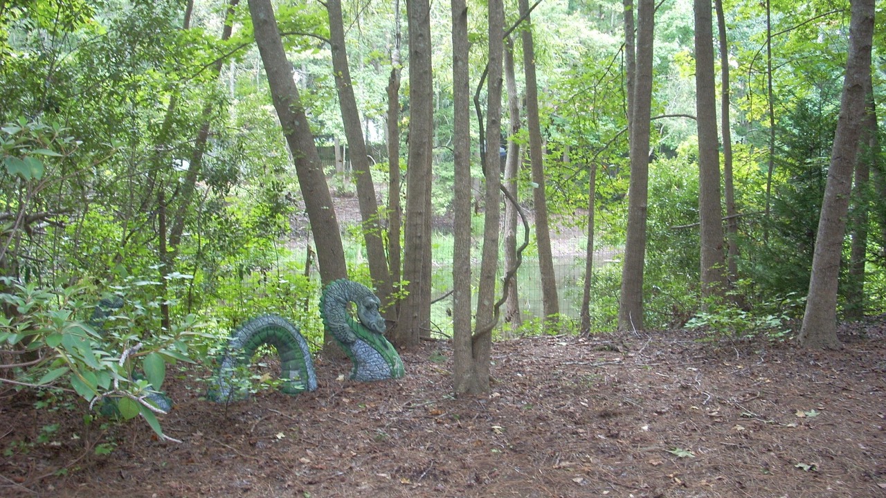 Photo of Outdoor in Edisto Island